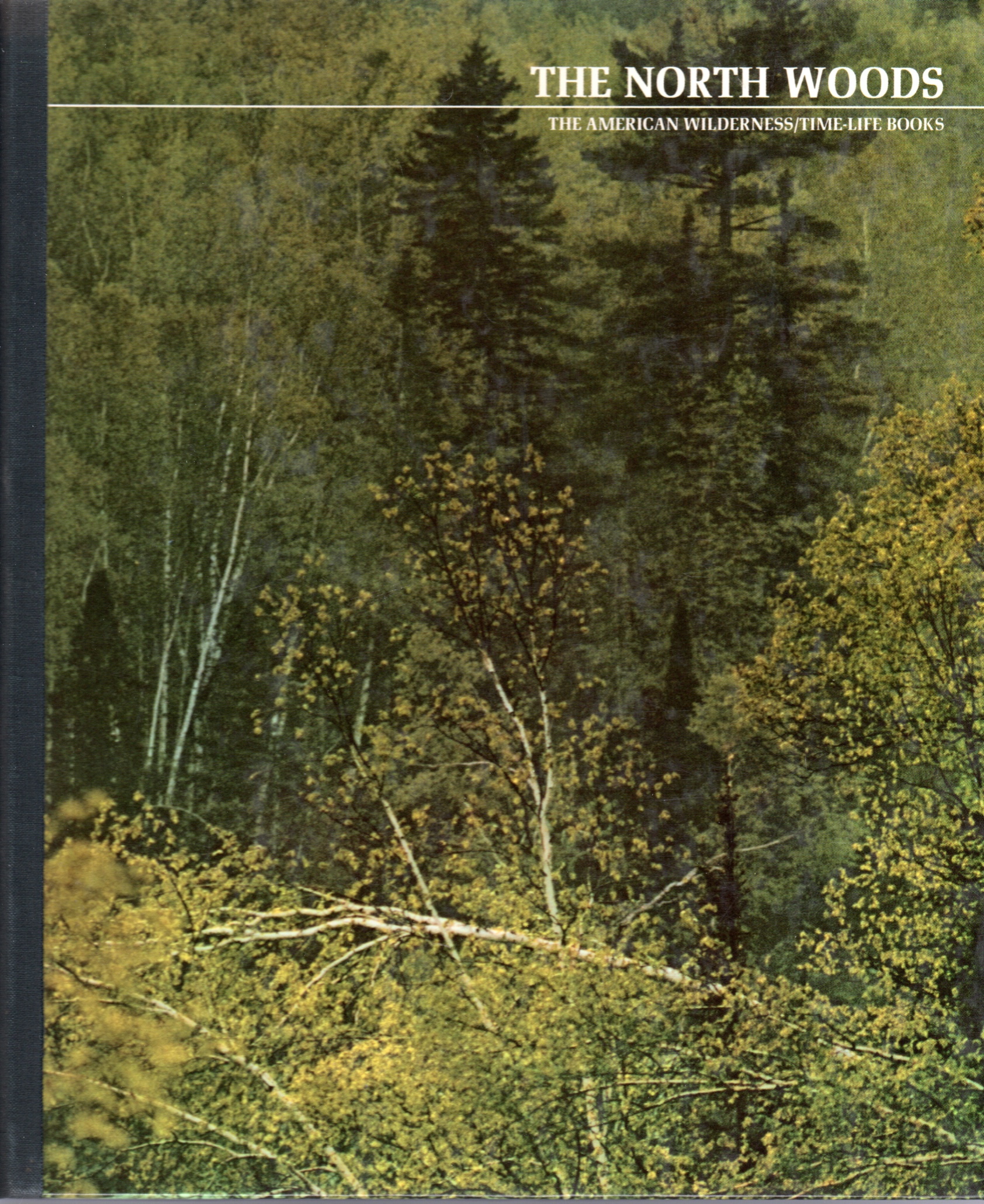 Image for The North Woods