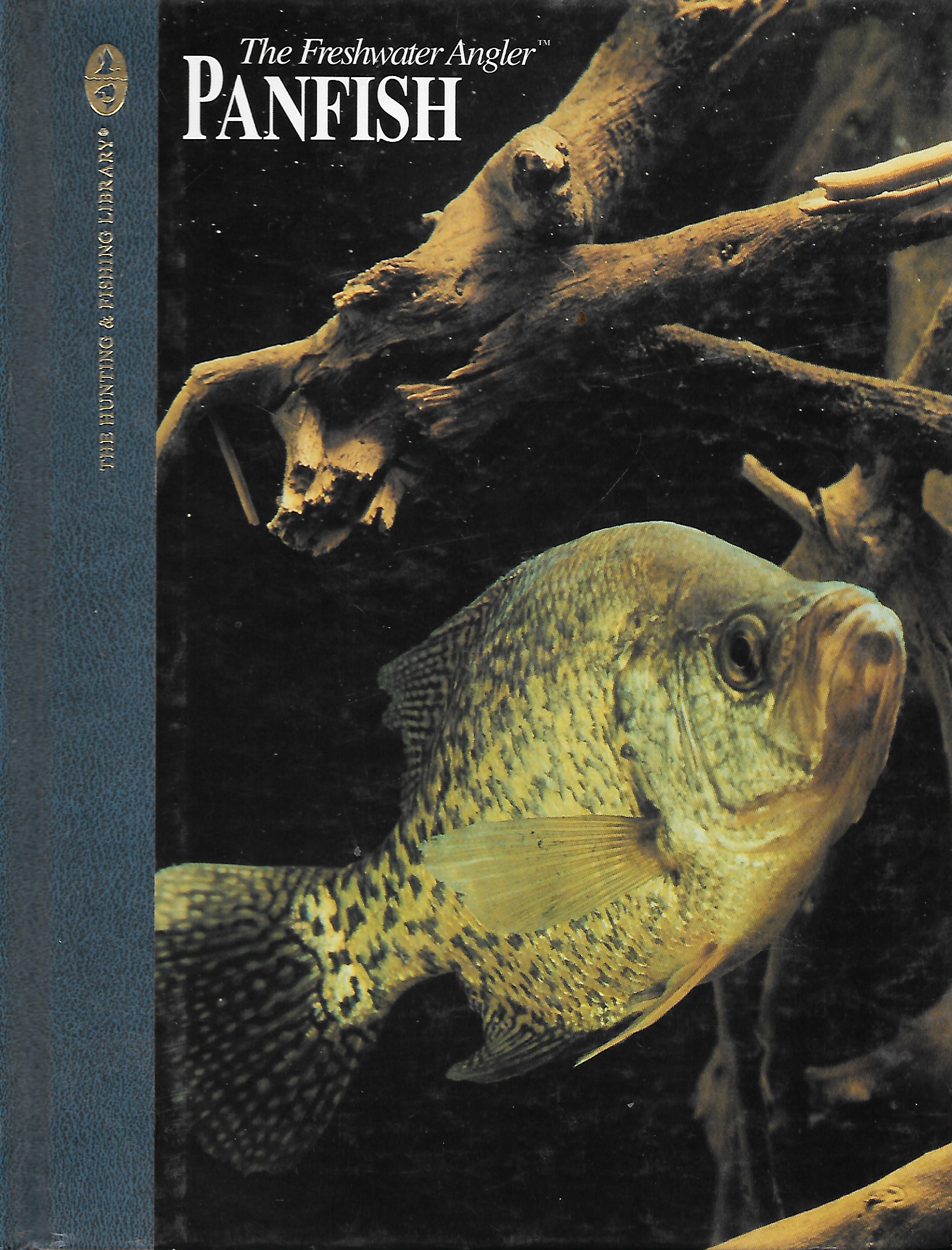 Panfish by Dick Sternberg