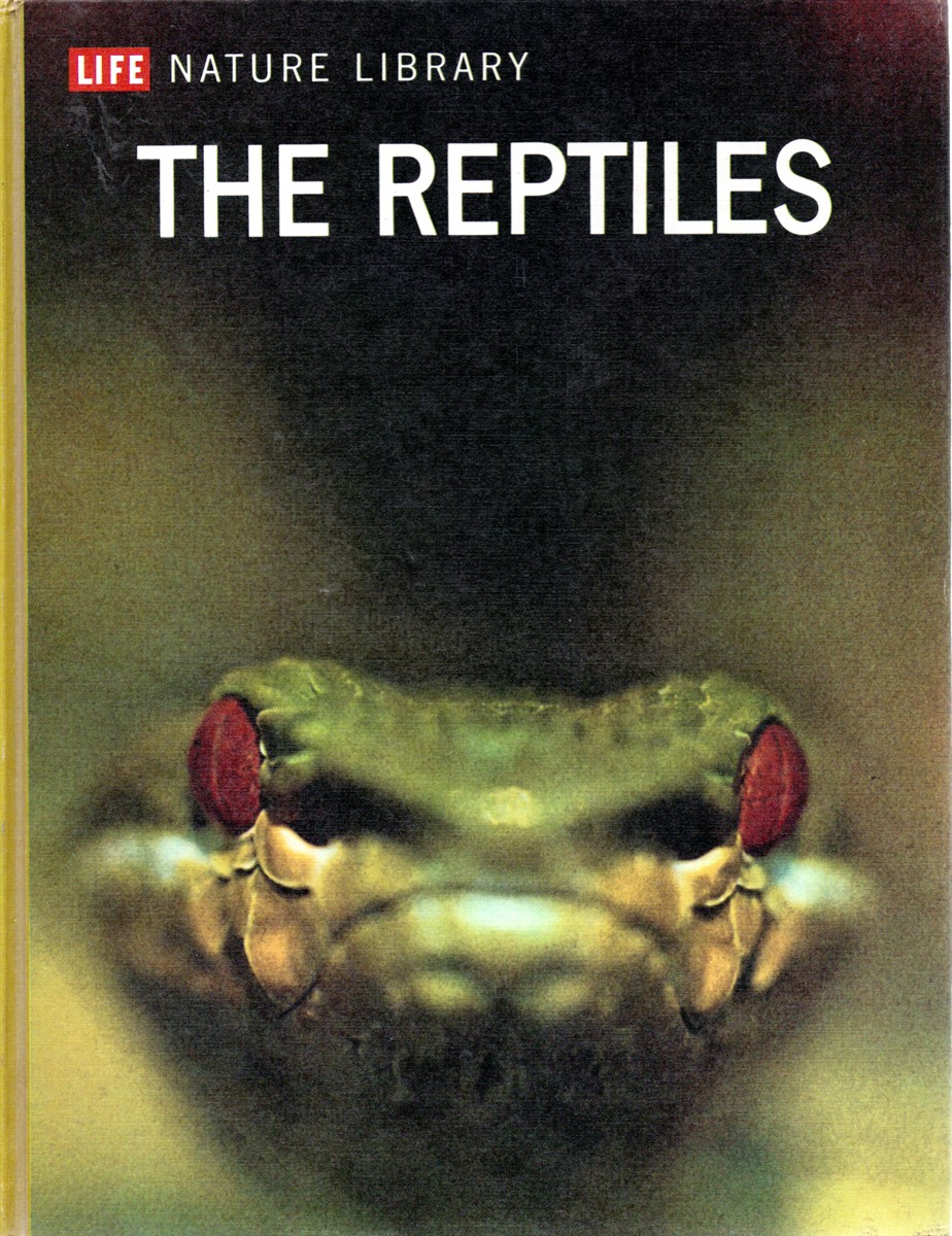 The Reptiles