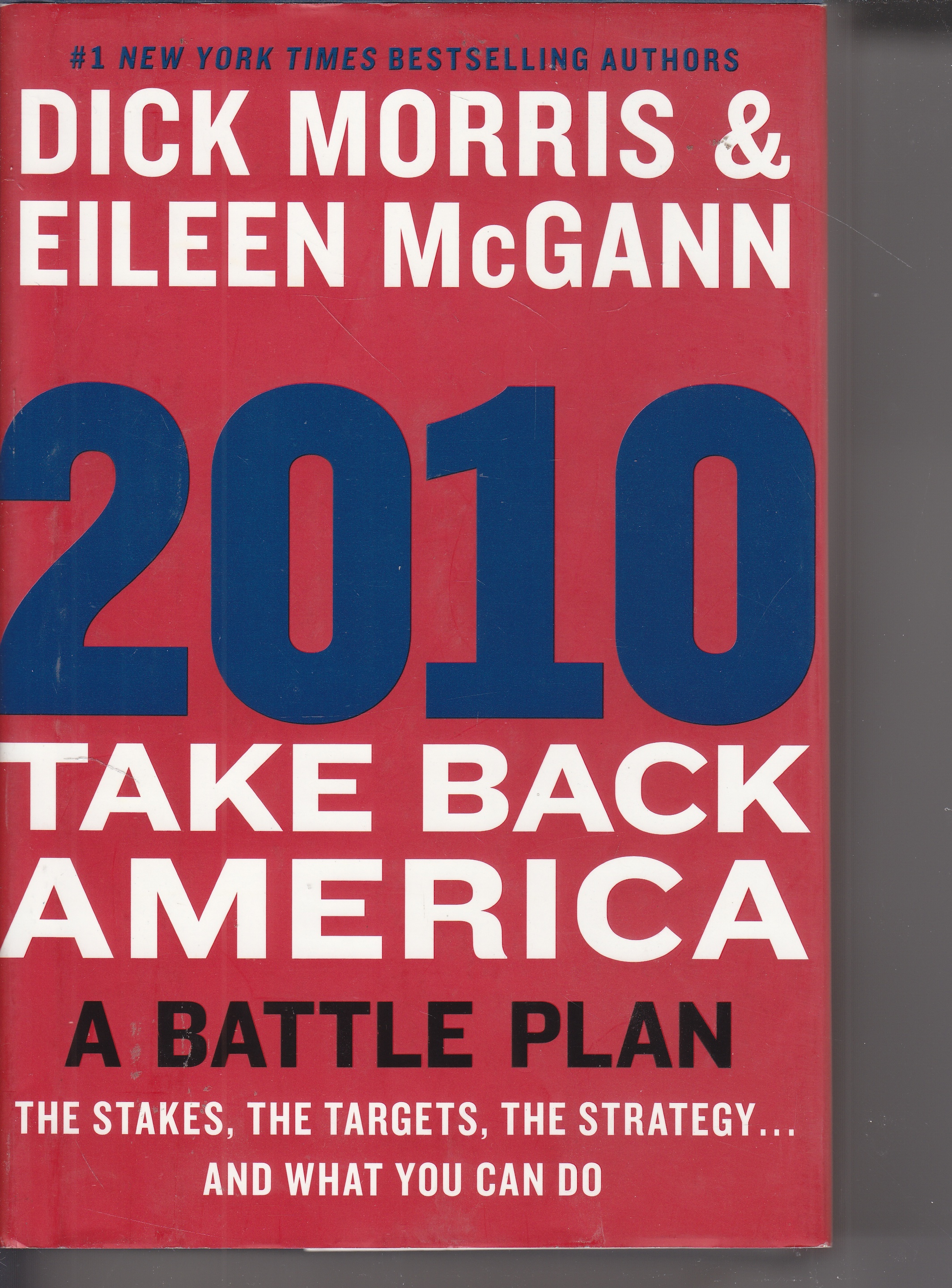 Image for 2010 Take Back America: a Battle Plan The Stakes, the Targets, the Strategy and What You Can Do