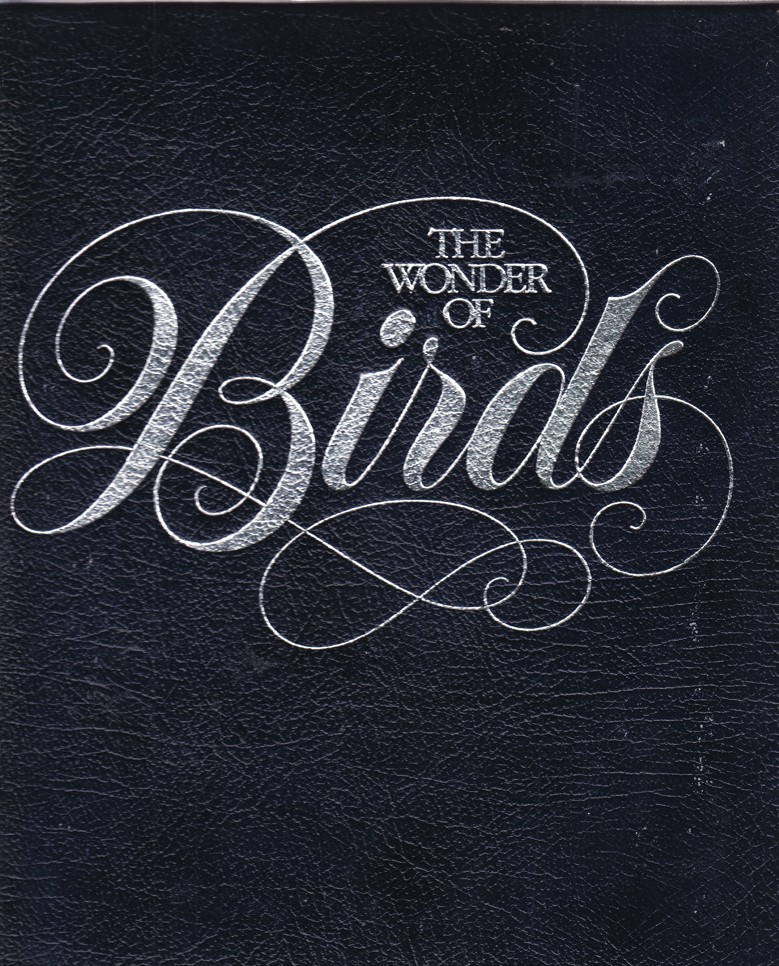 Image for The Wonder of Birds