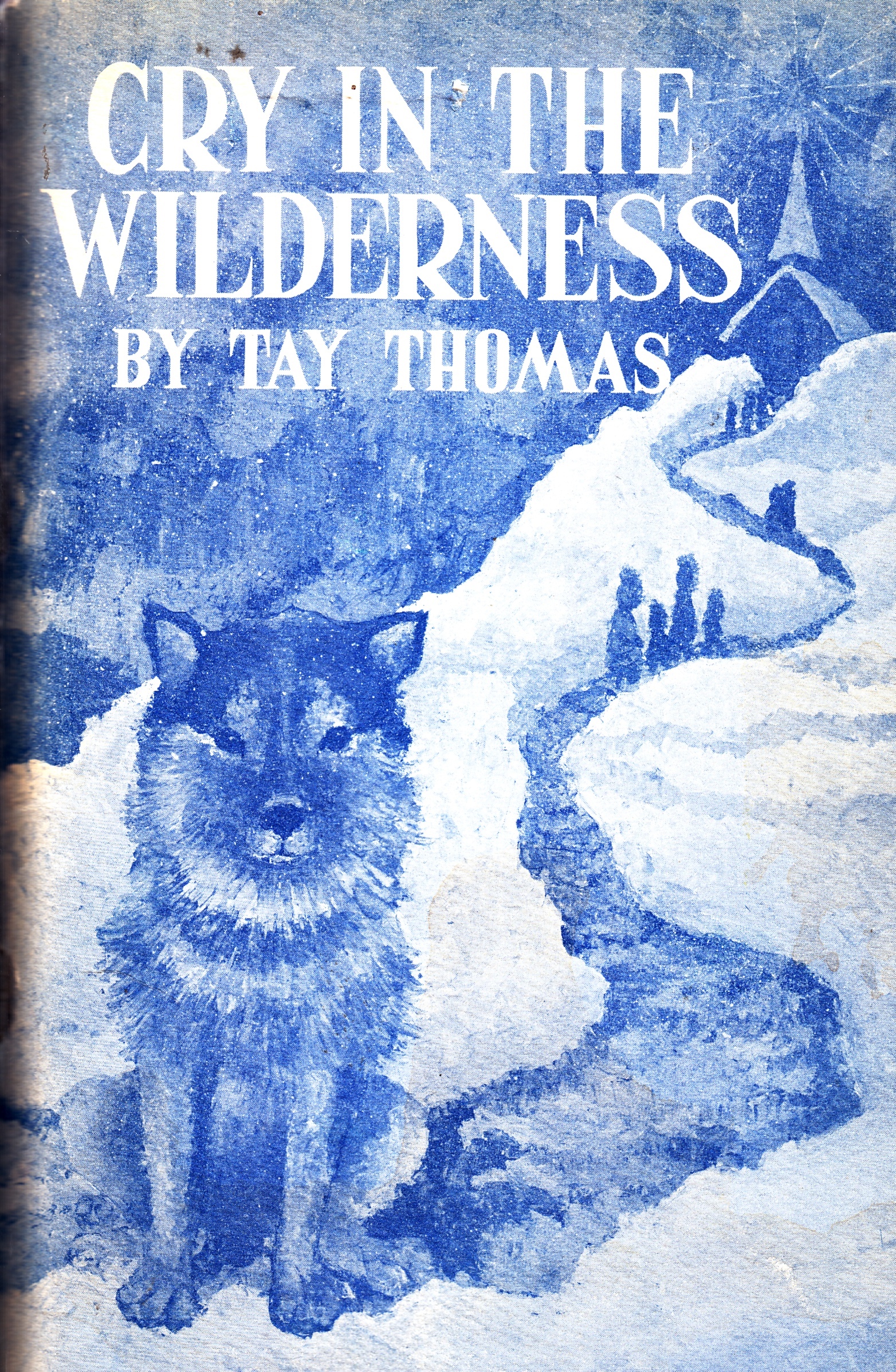Image for Cry in the Wilderness
