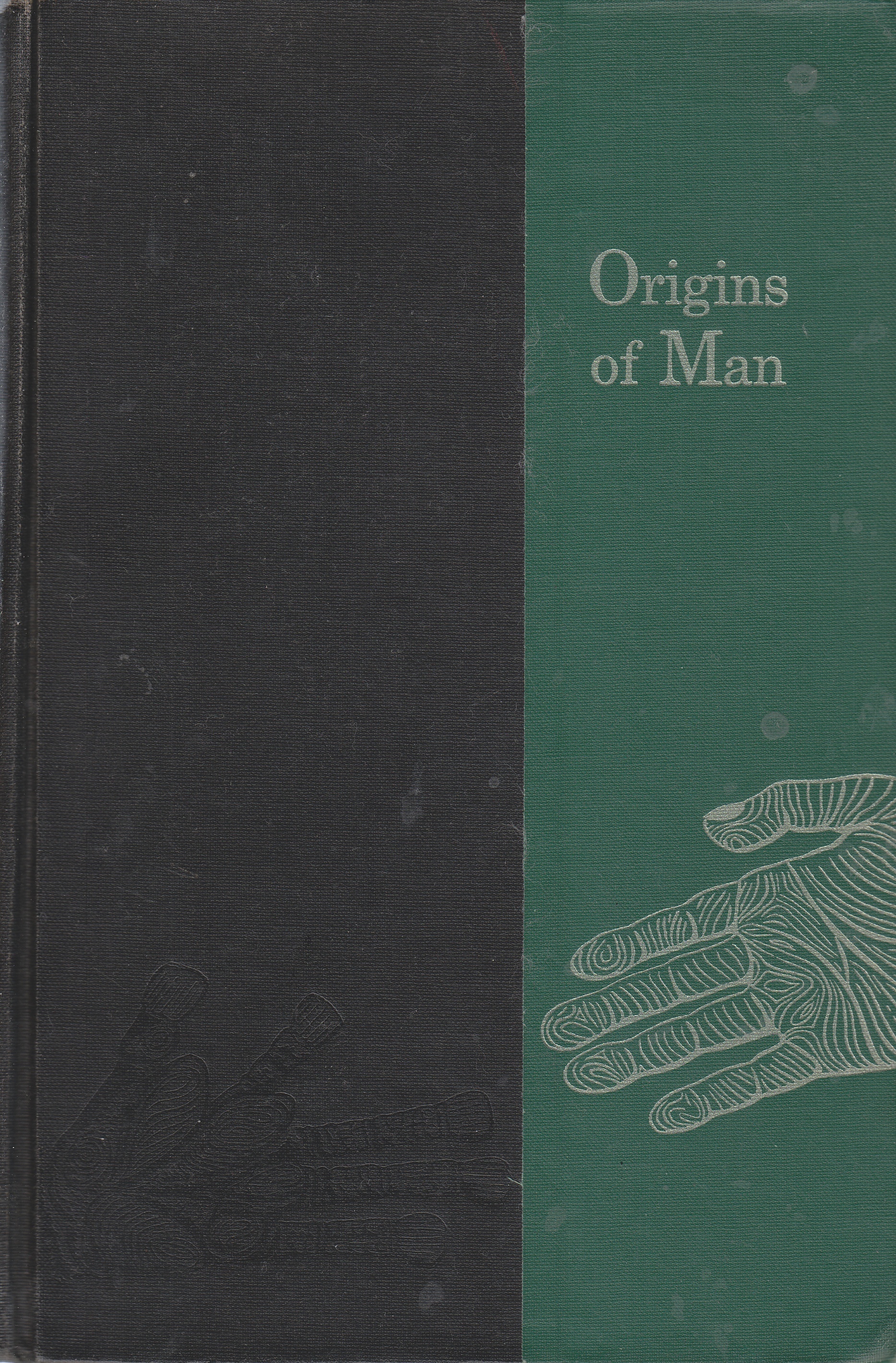 Image for Origins of Man