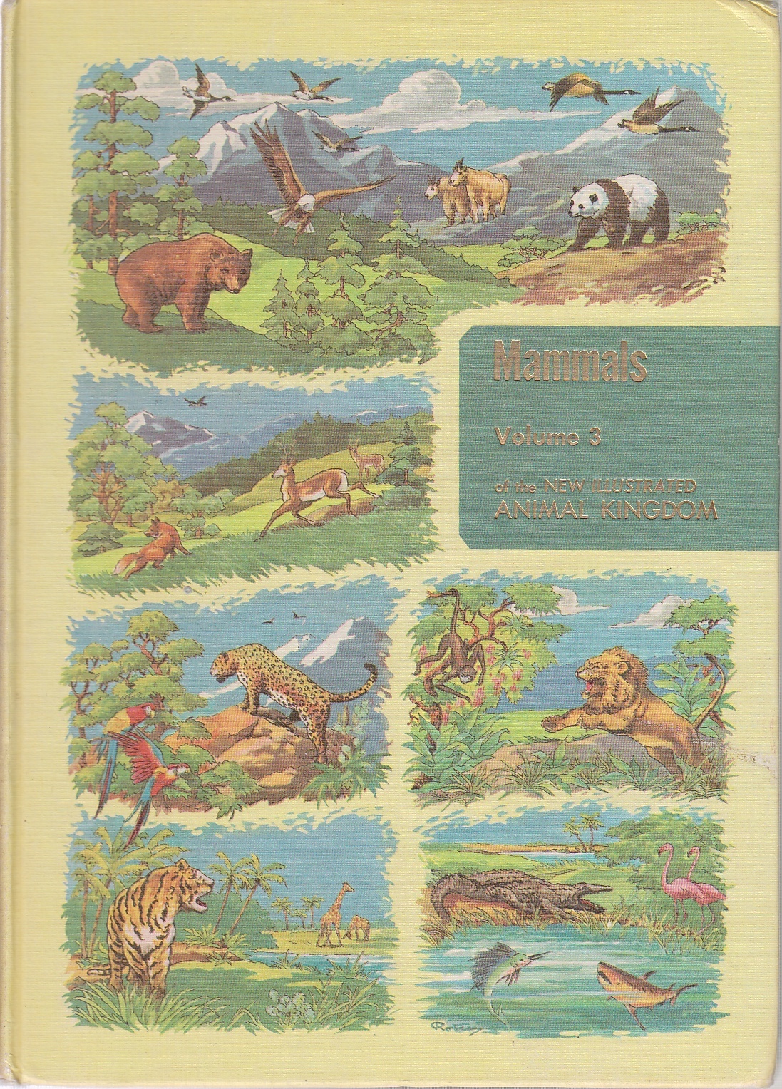 Image for The Illustrated Encyclopedia of Animal Life Volume 3