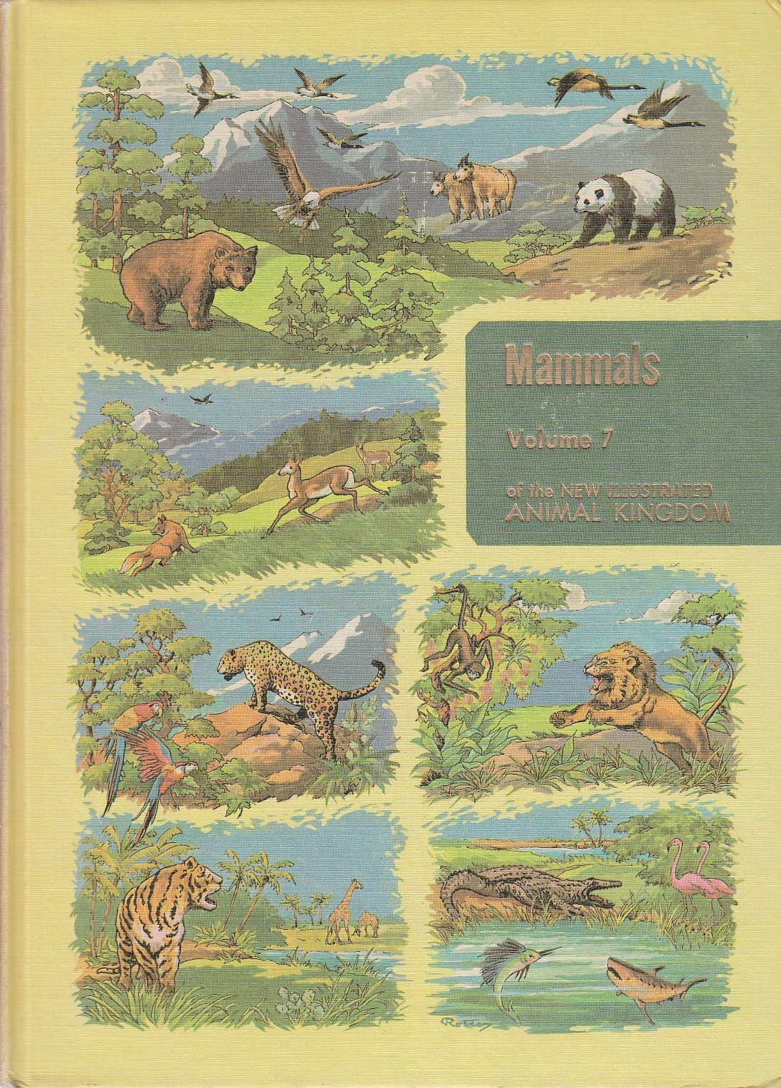 Image for Illustrated Encyclopedia of Animal Life Volume 7