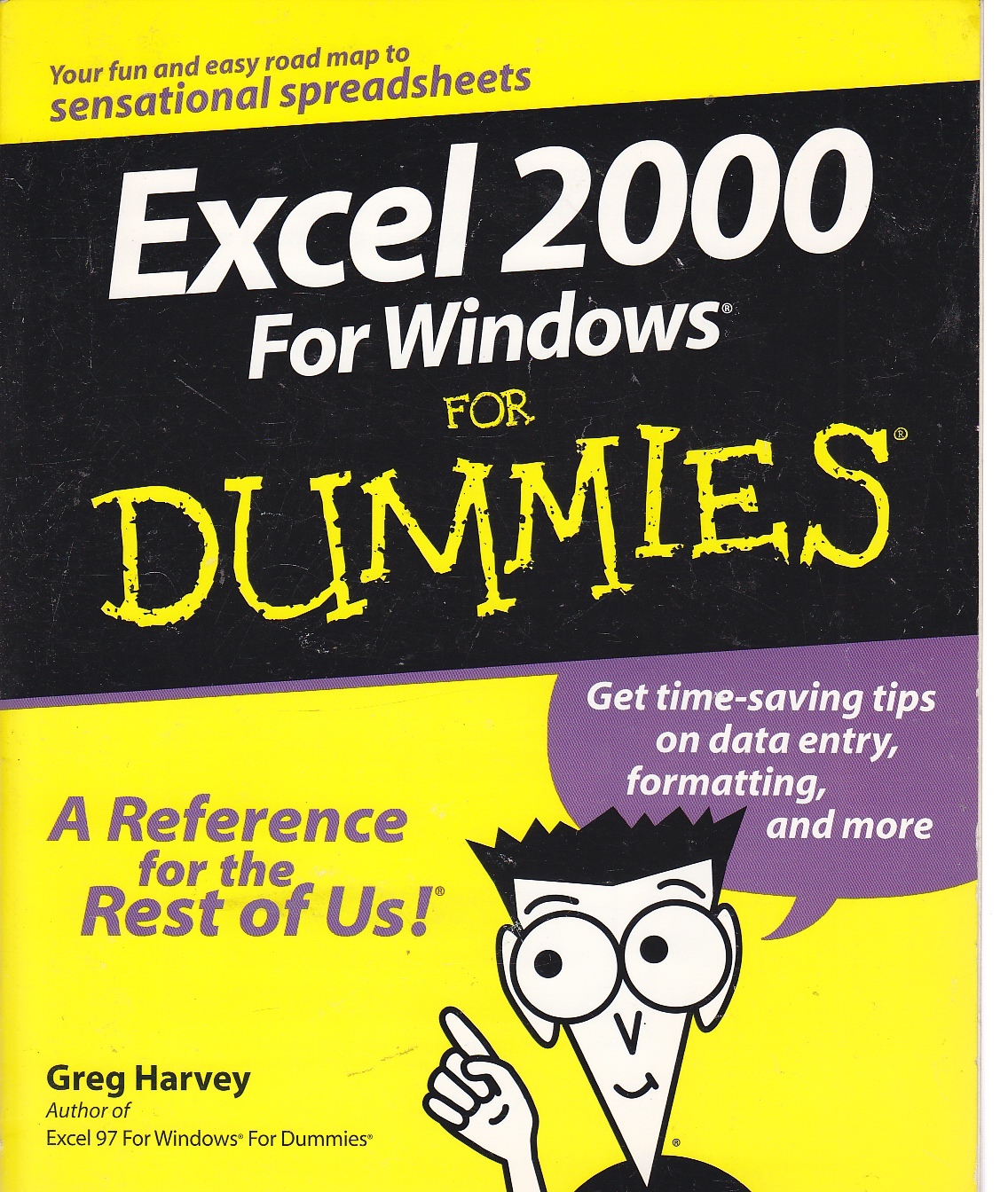 Image for Excel 2000 for Windows for Dummies