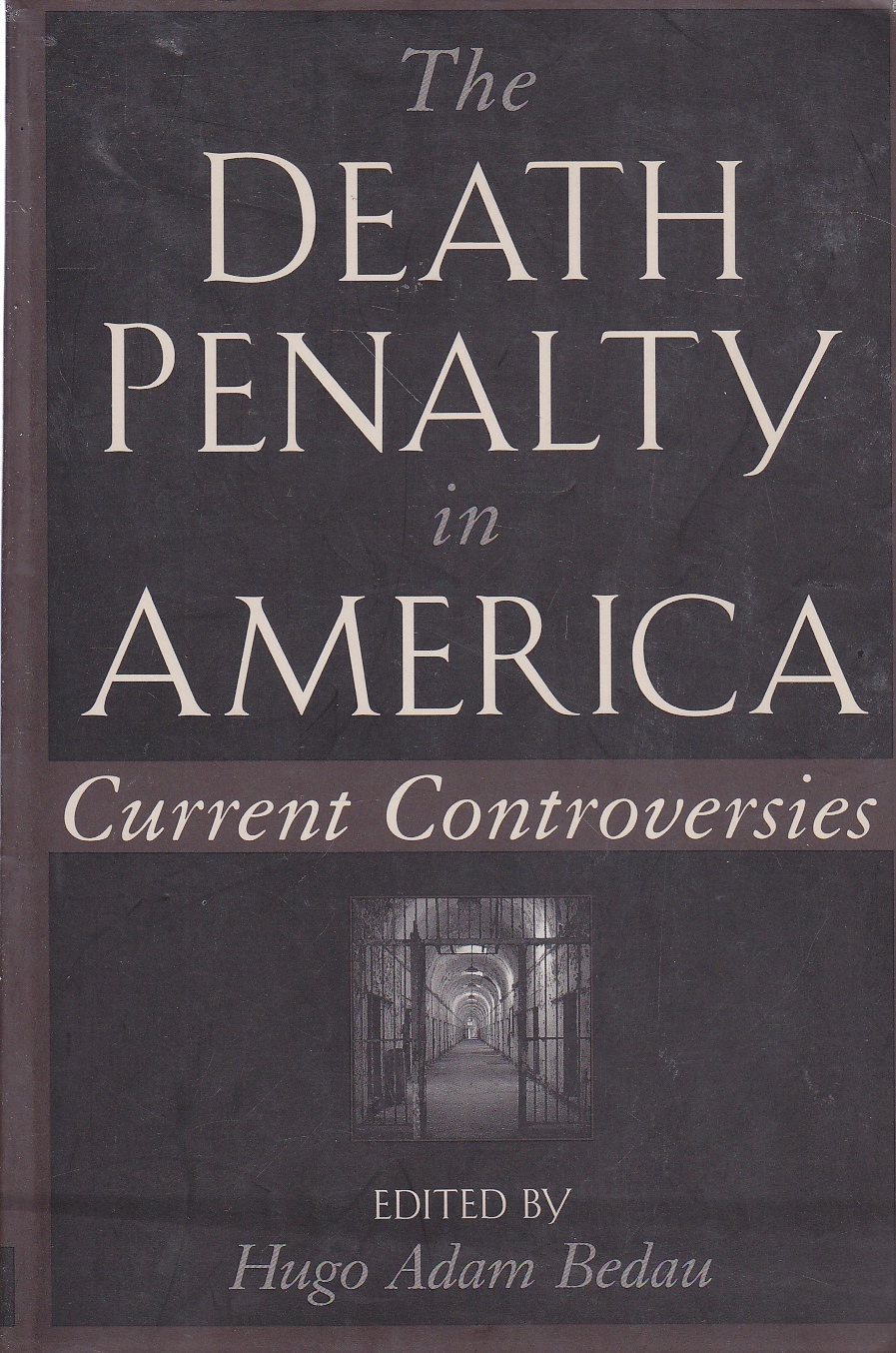 Image for The Death Penalty in America Current Controversies