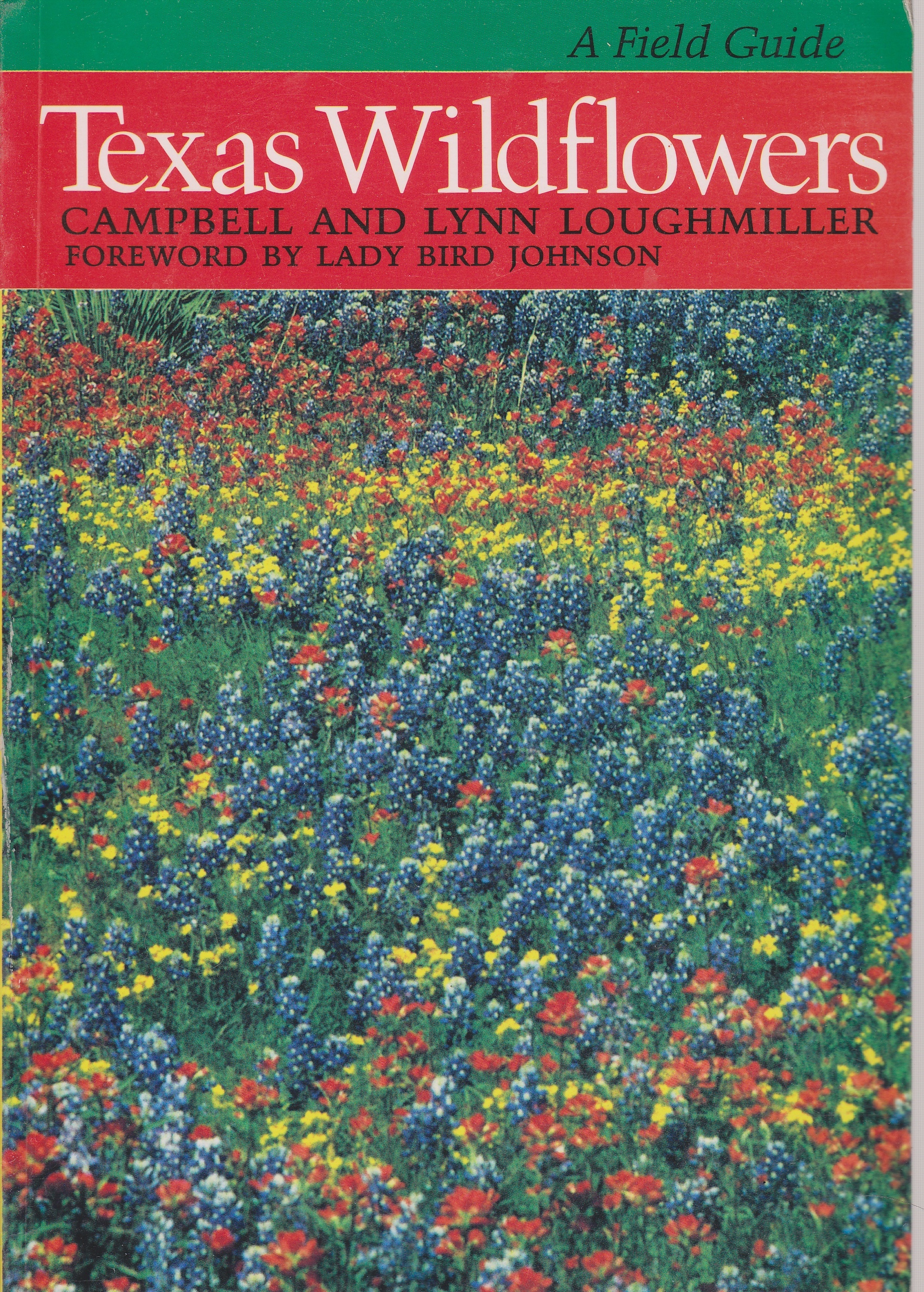 Image for Texas Wildflowers A Field Guide