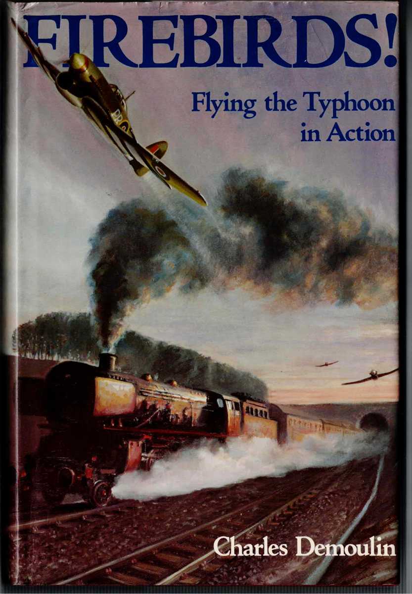 Image for FIREBIRDS! FLYING THE TYPHOON IN ACTION FIREBIRDS! FLYING THE TYPHOON IN ACTION