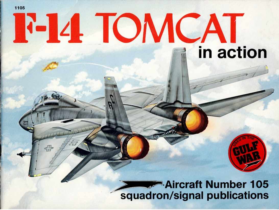 F-14 TOMCAT IN ACTION