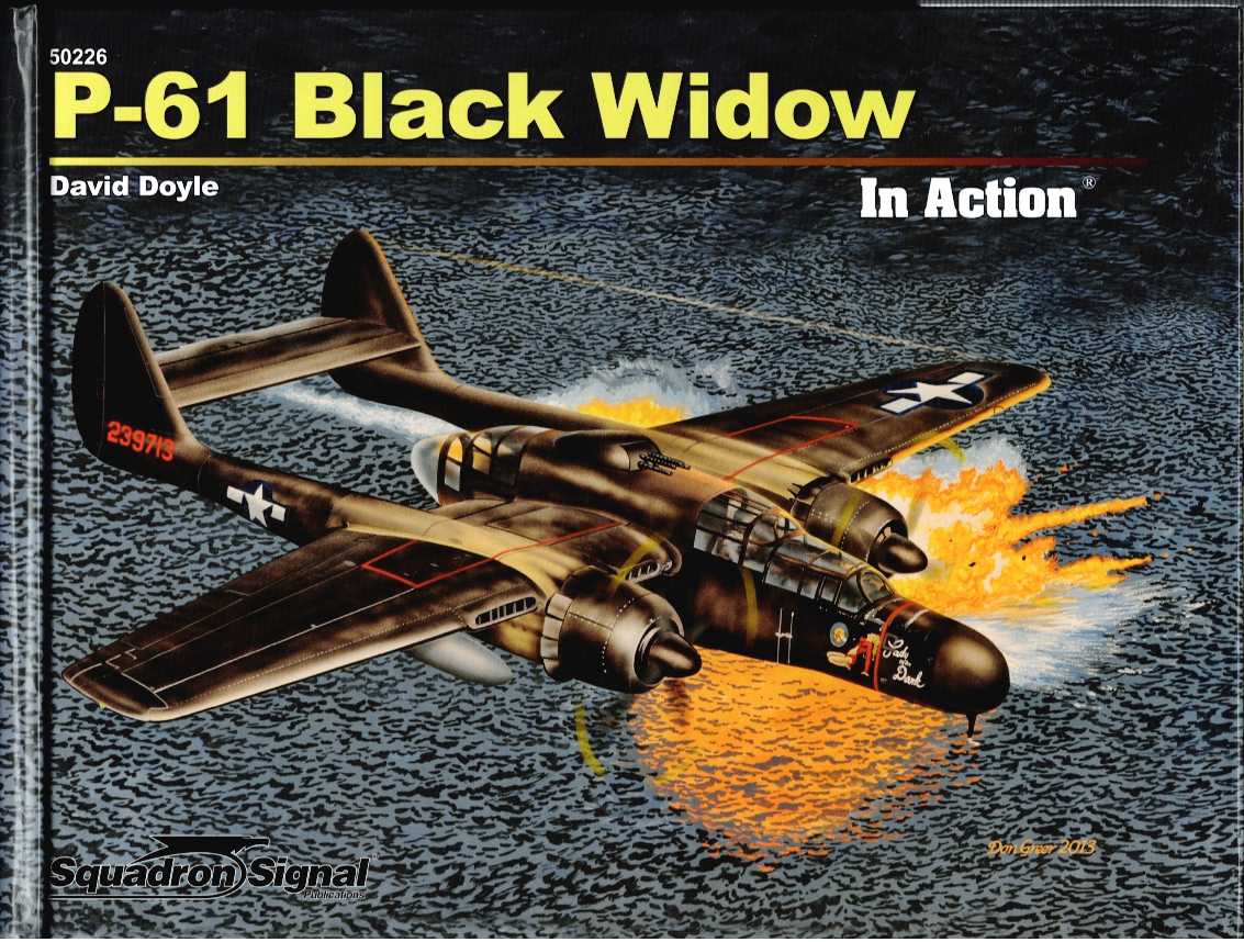 P-61 BLACK WIDOW IN ACTION
