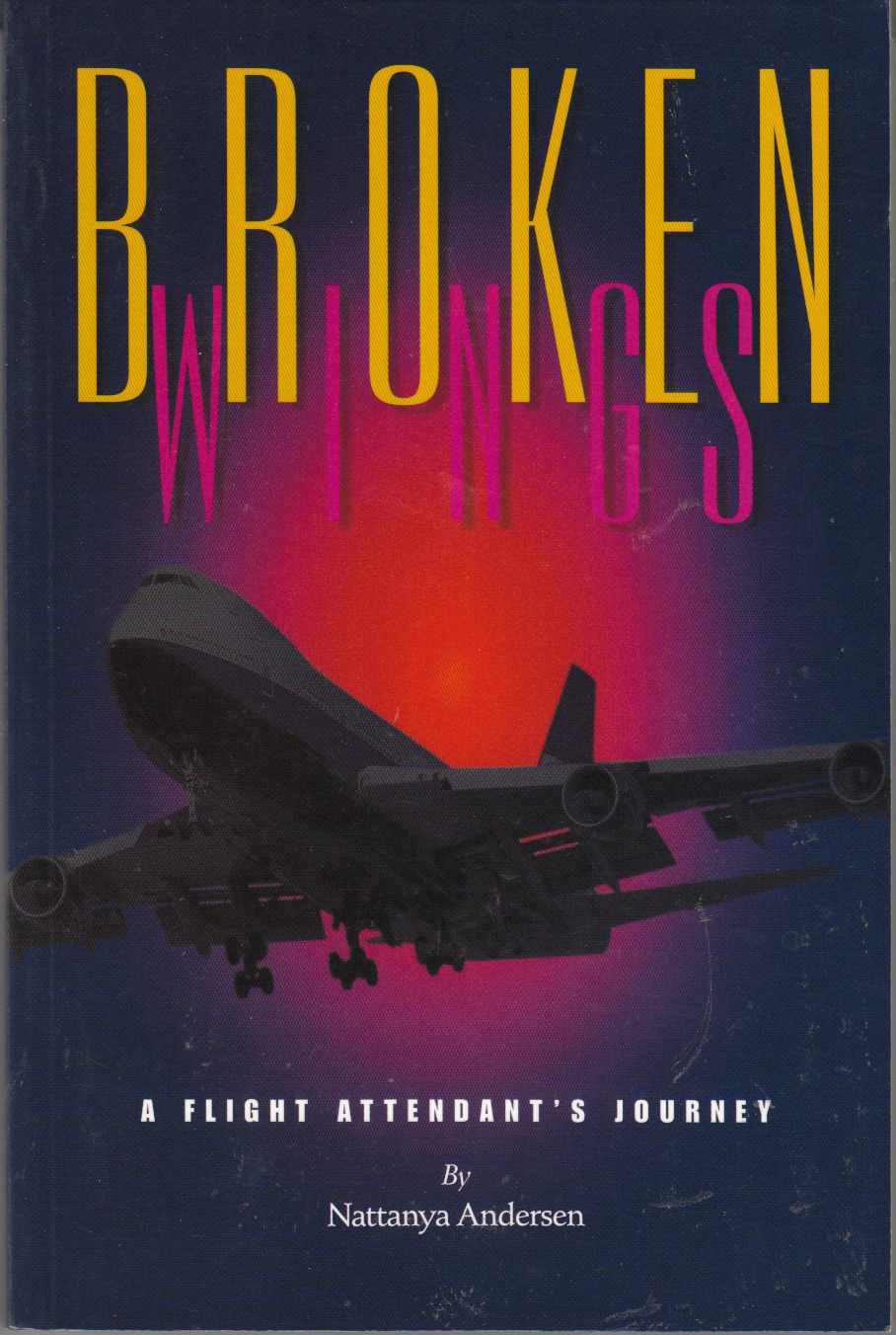 Image for Broken Wings A Flight Attendant's Journey