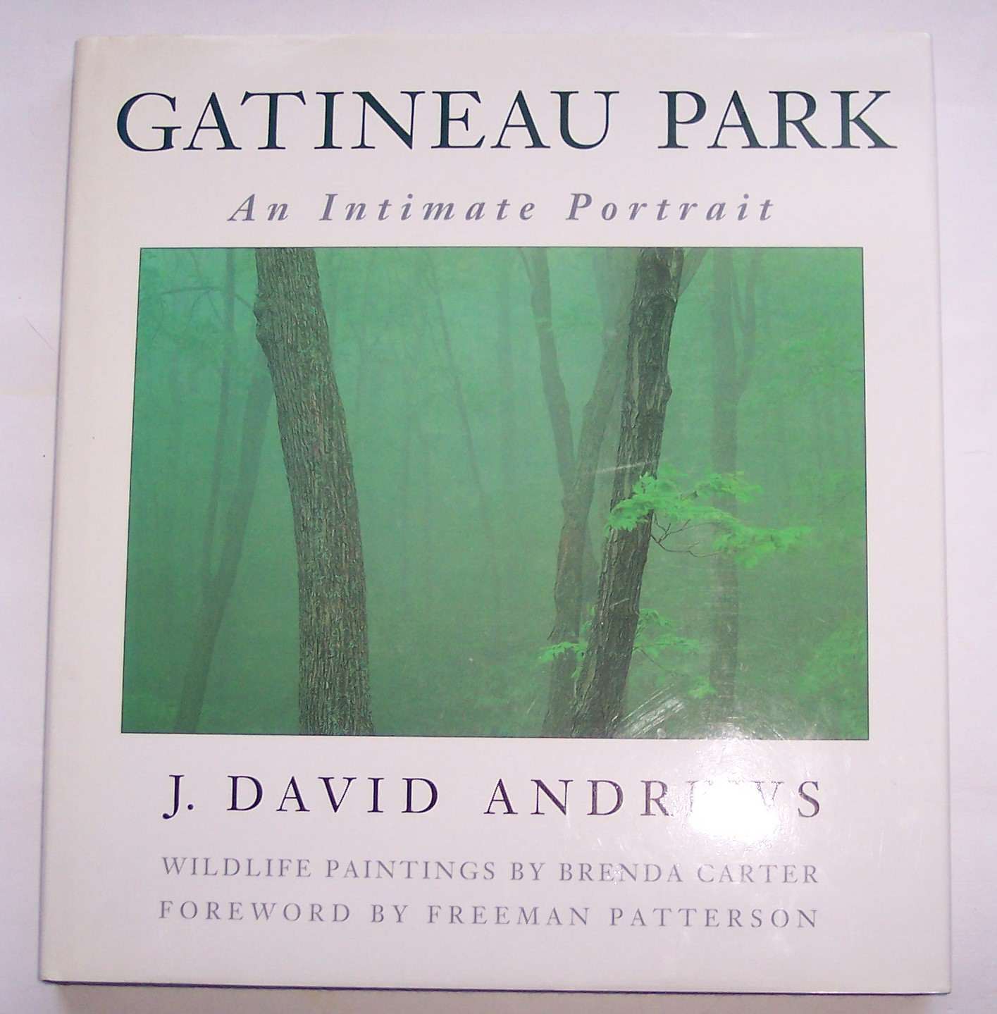 Image for Gatineau Park An Intimate Portrait