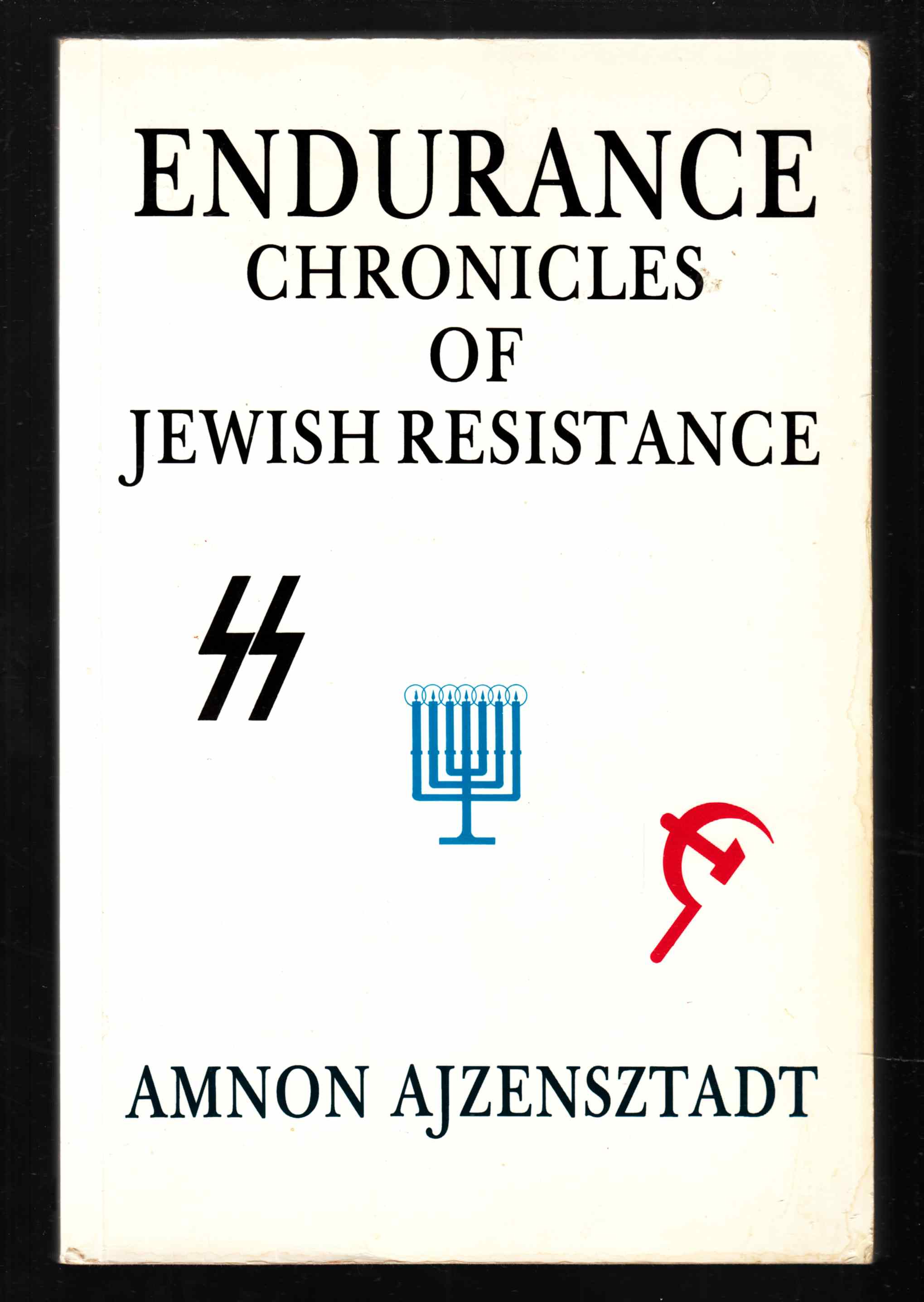 Image for Endurance Chronicles of Jewish Resistance