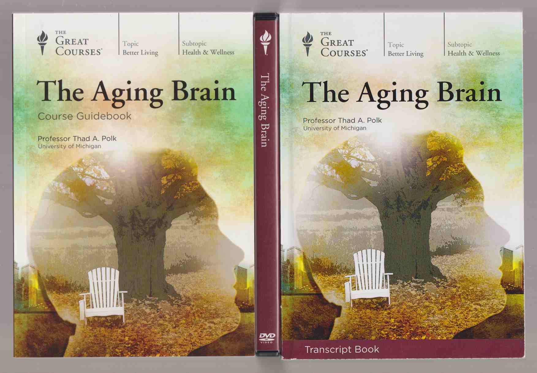 Image for The Aging Brain
