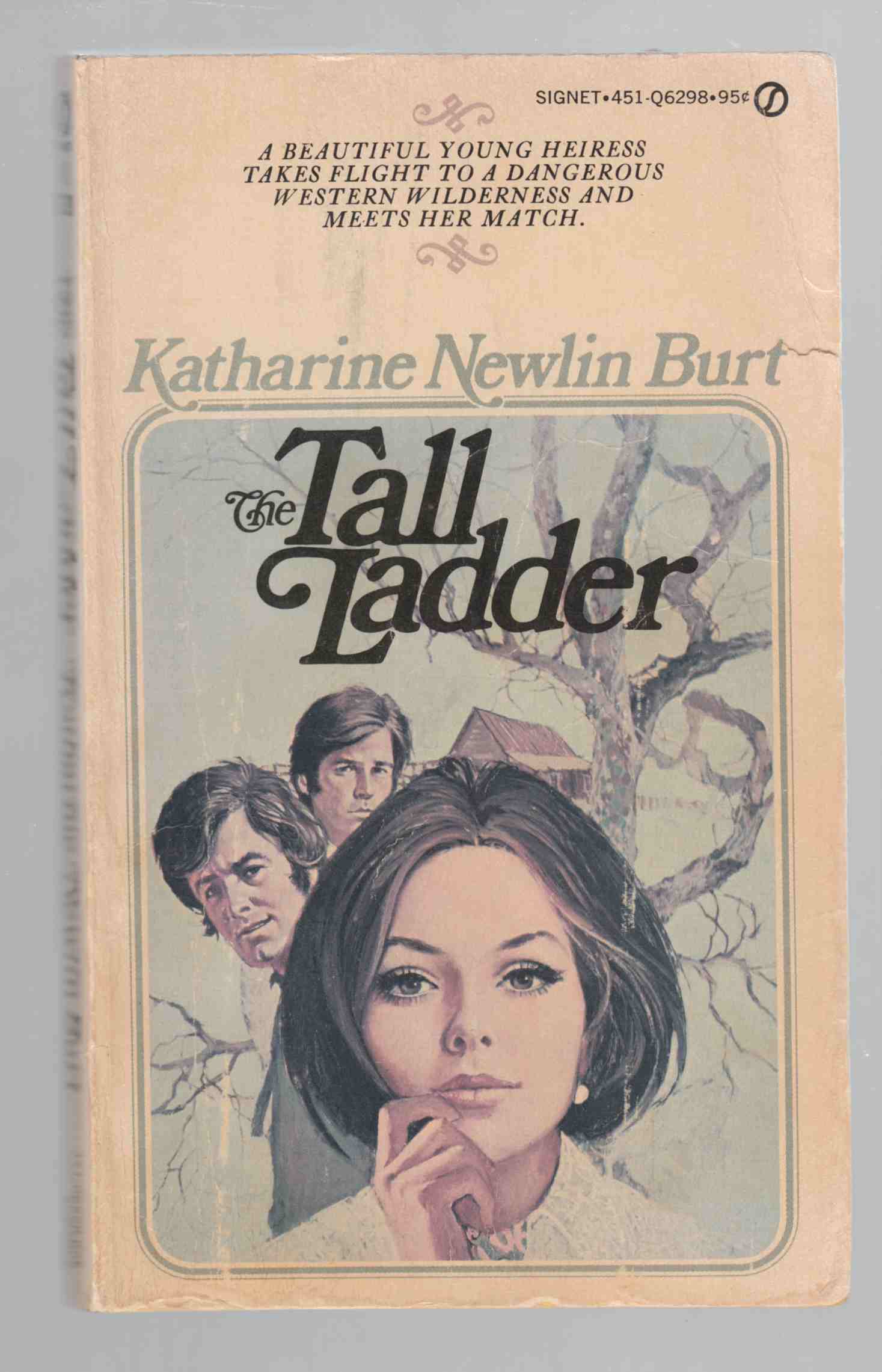 Image for The Tall Ladder
