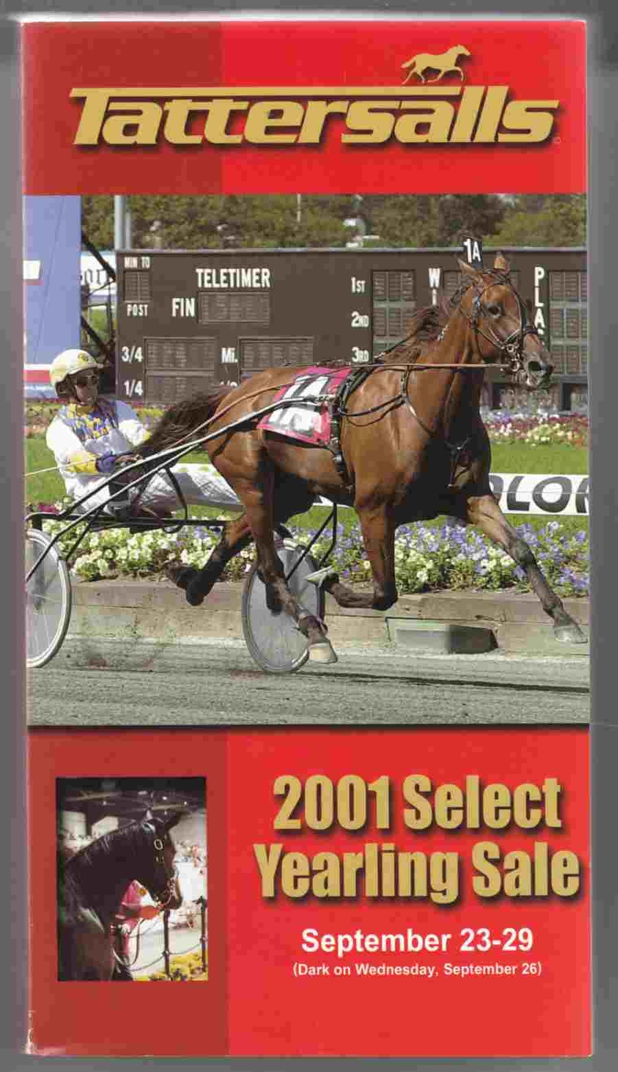 Image for Tattersalls 2001 Select Yearling Sale