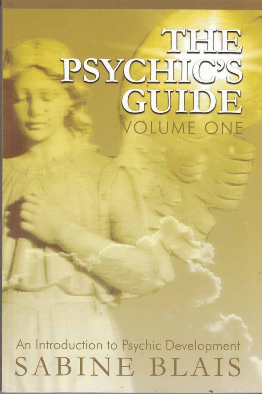Image for The Psychic's Guide: Volume One - An Introduction to Psychic Development