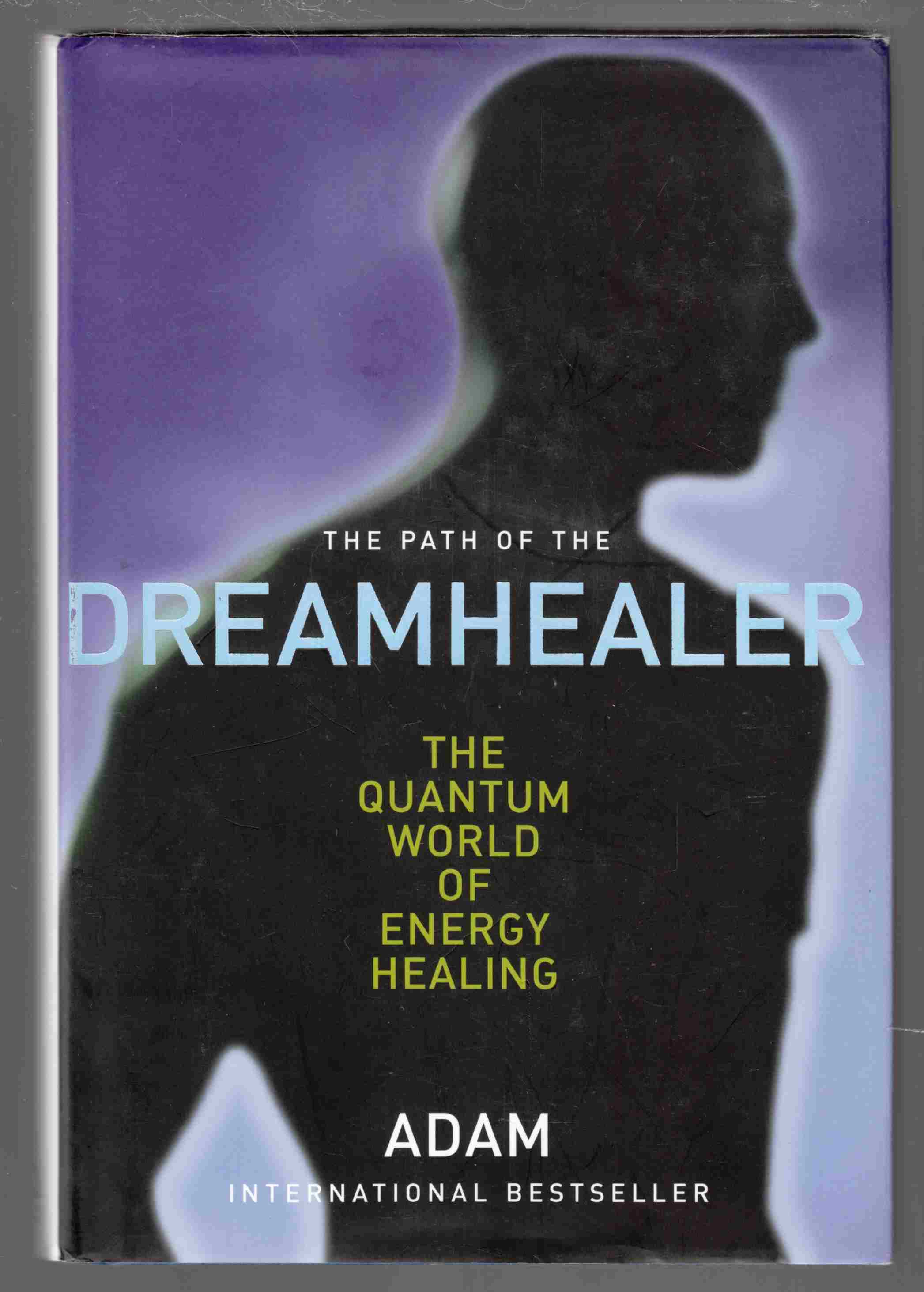 Image for The Path of the Dreamhealer The Quantum World of Energy Healing
