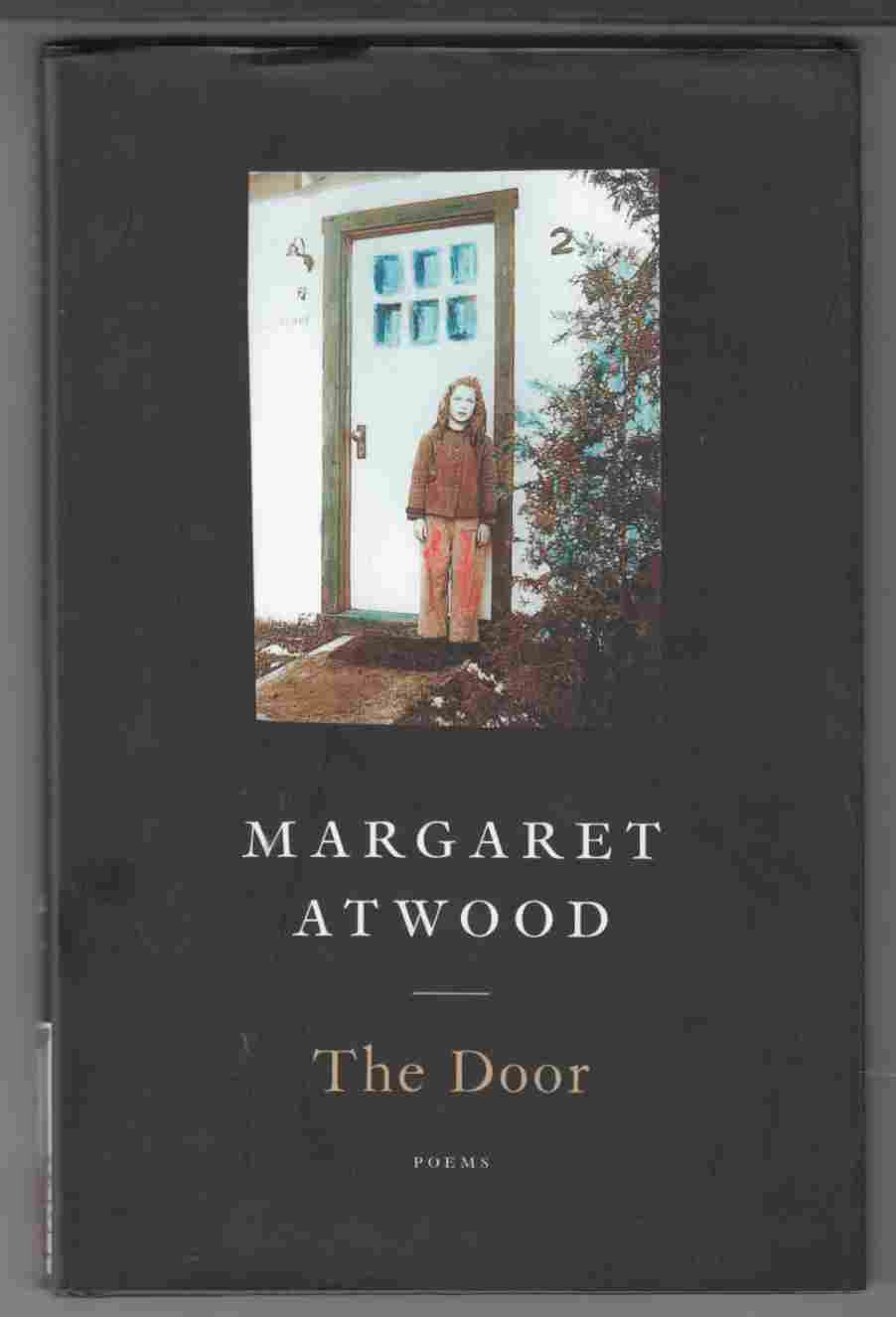 Image for The Door