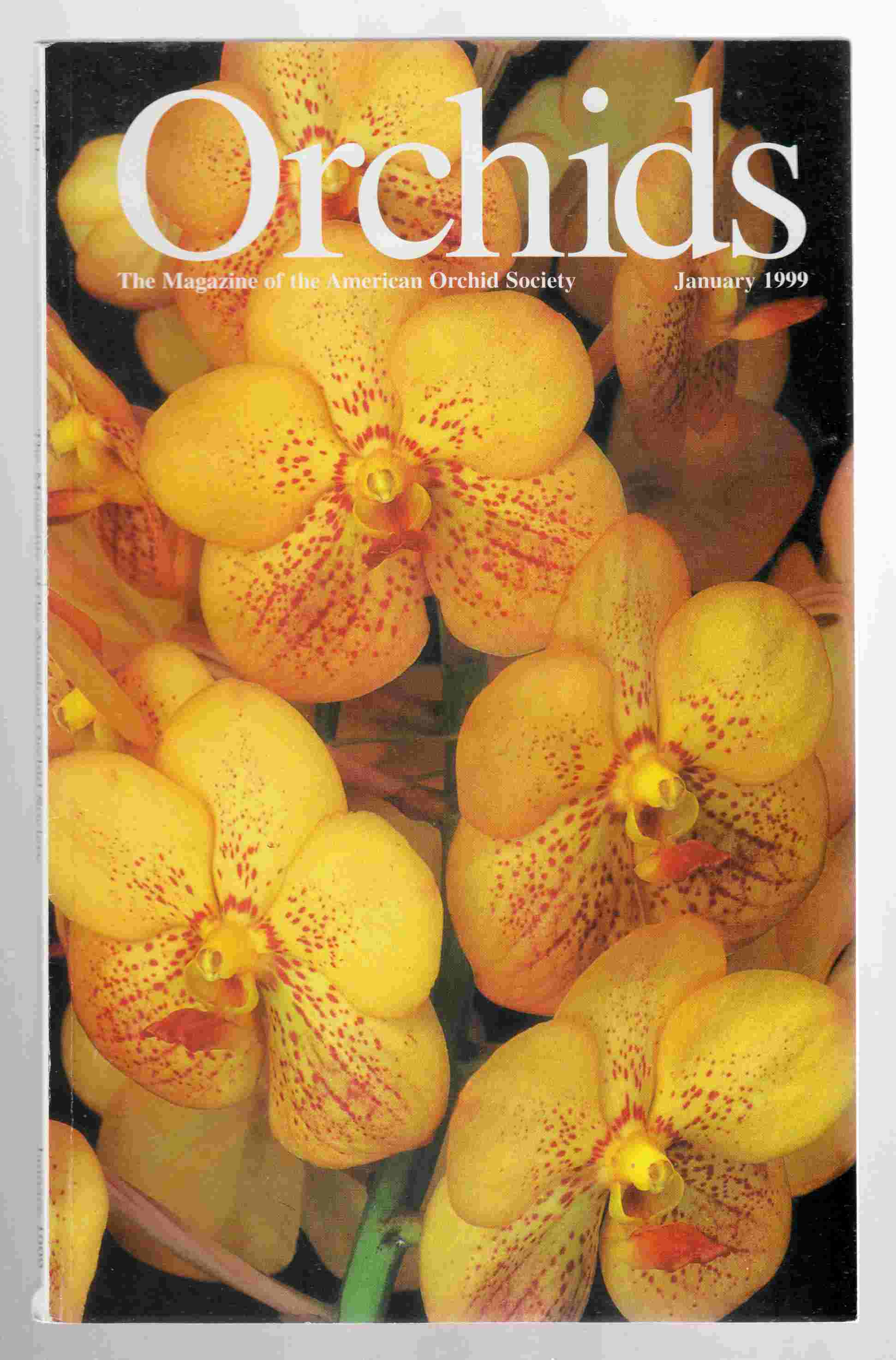 orchids-magazine-vol-68-no-1-january-1999