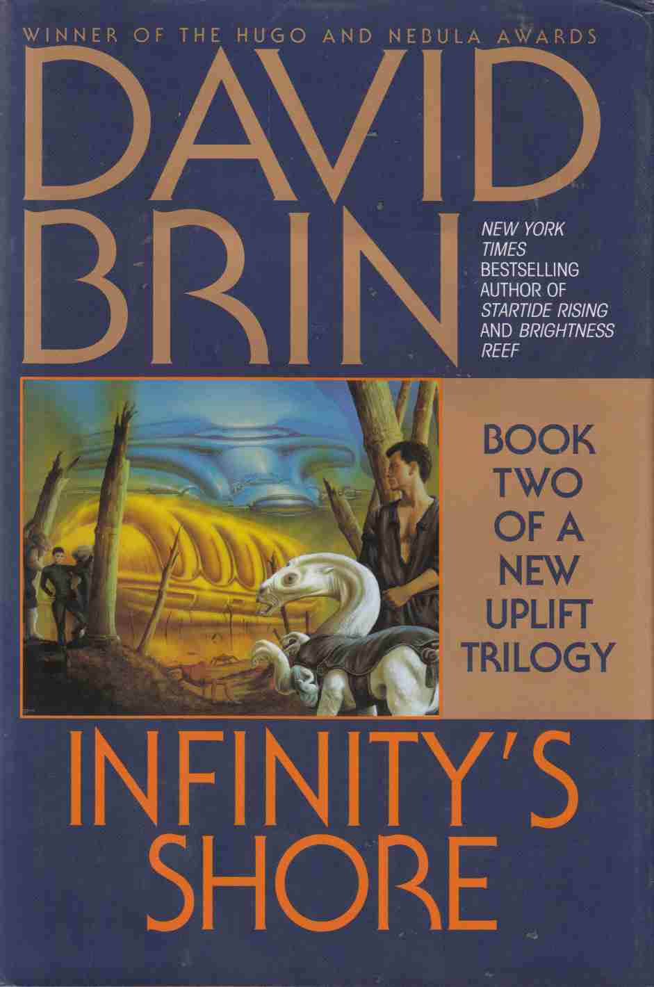 Image for Infinity's Shore