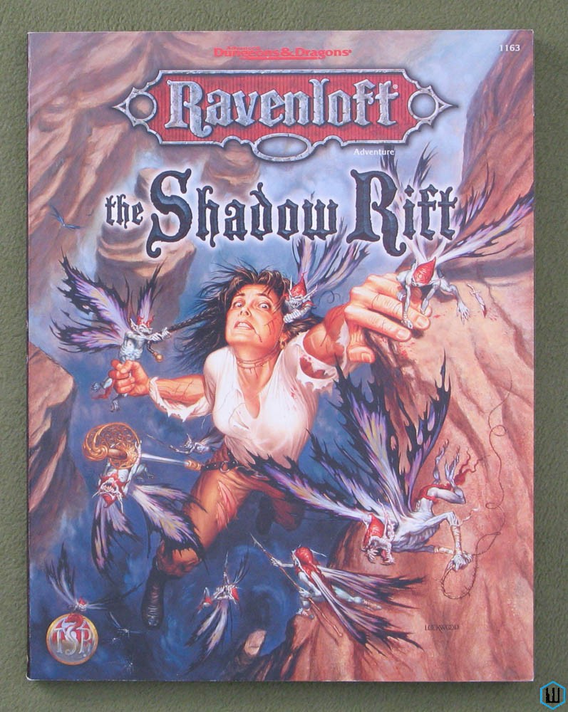 The Shadow Rift Advanced Dungeons And Dragons Ravenloft Adventure