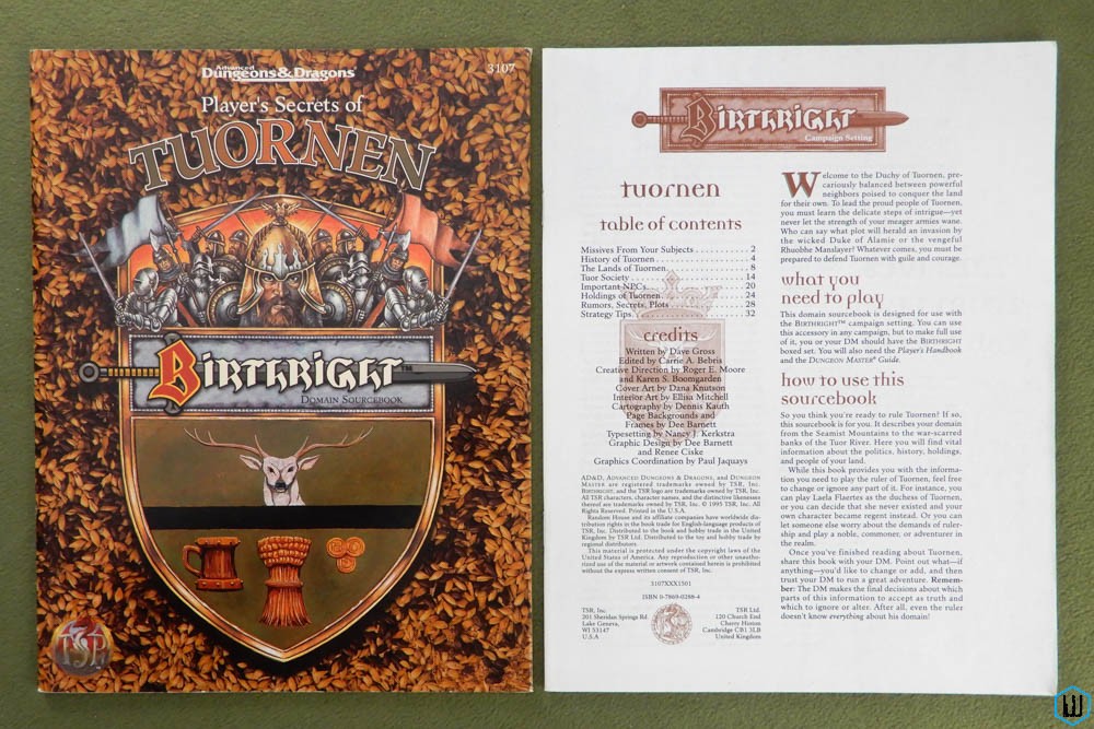 Advanced Dungeons & Dragons: Eye Of The Beholder Sur Mega CD