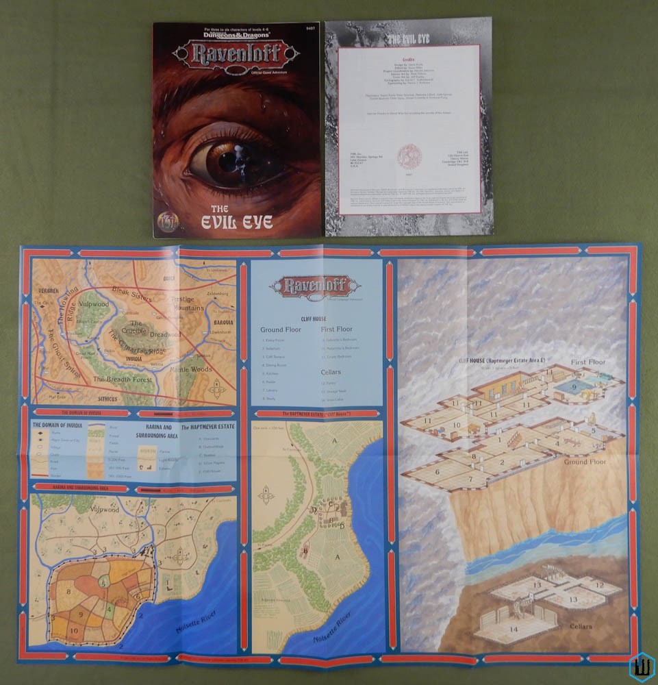 The Evil Eye (Dungeons Dragons Ravenloft) Original 1995 edition w MAP
