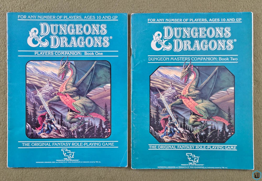 D&D Players Companion & DM's Companion (Dungeons Dragons) Books Only
