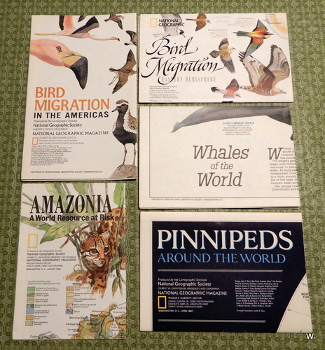 Image for The Environment: Set of 5 - Bird Migration in The Americas, Bird Migration Eastern Hemisphere, Amazonia A World Resource at Risk, Whales of the World, Pinnipeds Around the World (National Geographic Maps)