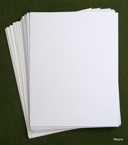 Image for 20 White Magazine Boards (8.5" x 11")