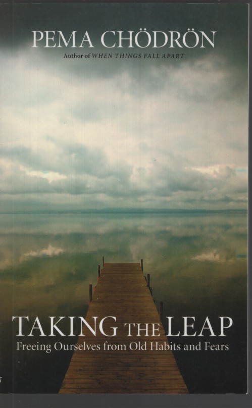Taking the Leap: Freeing Ourselves from Old Habits and Fears