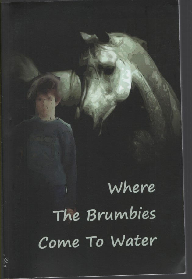 WHERE THE BRUMBIES COME TO WATER An Australian Horse Story
