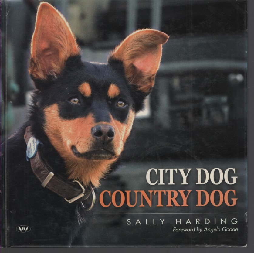 City Dog Country Dog