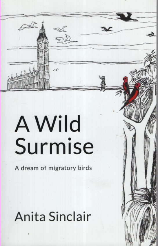 A WILD SURMISE : A DREAM OF MIGRATORY BIRDS